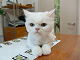DSCF8055[1]_thumb.png
